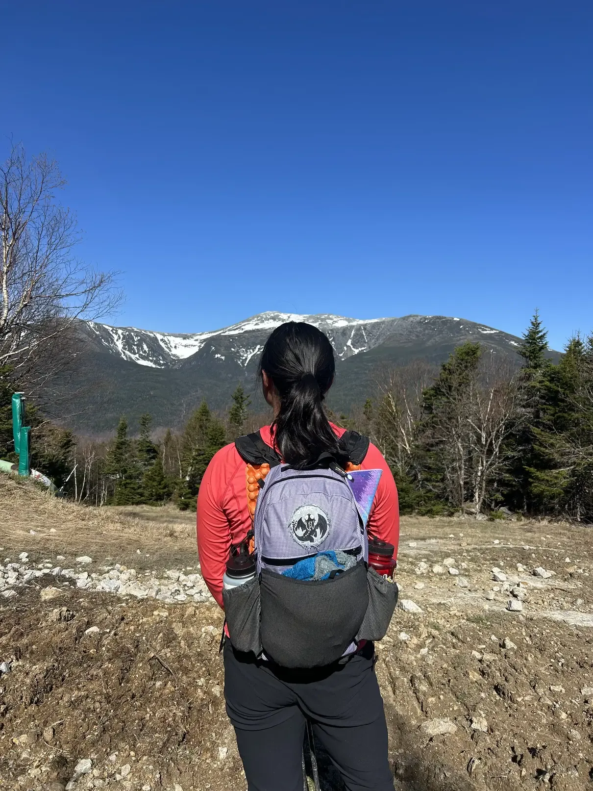 18L Toothless Daypack