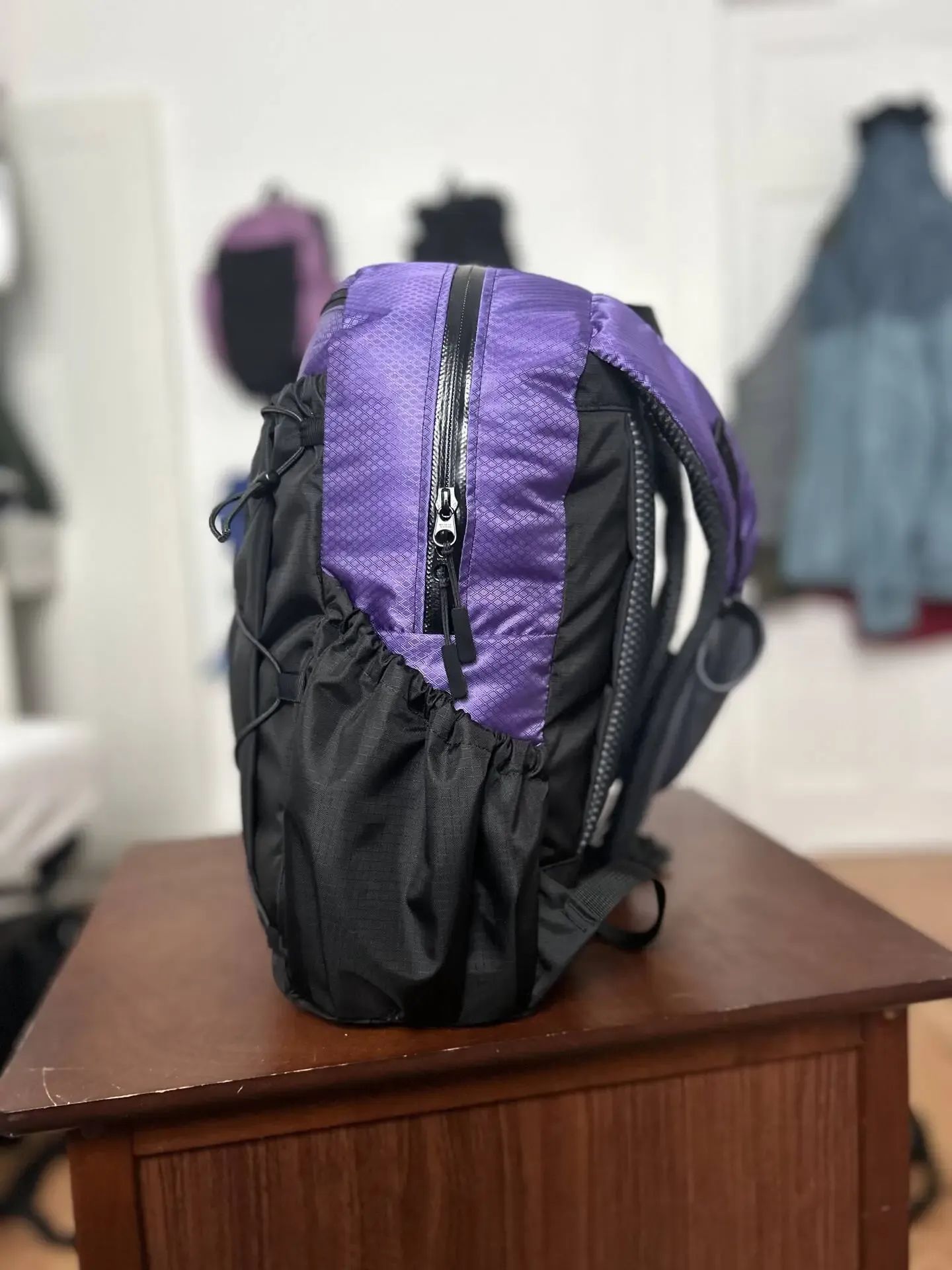 20L Purple Daypack