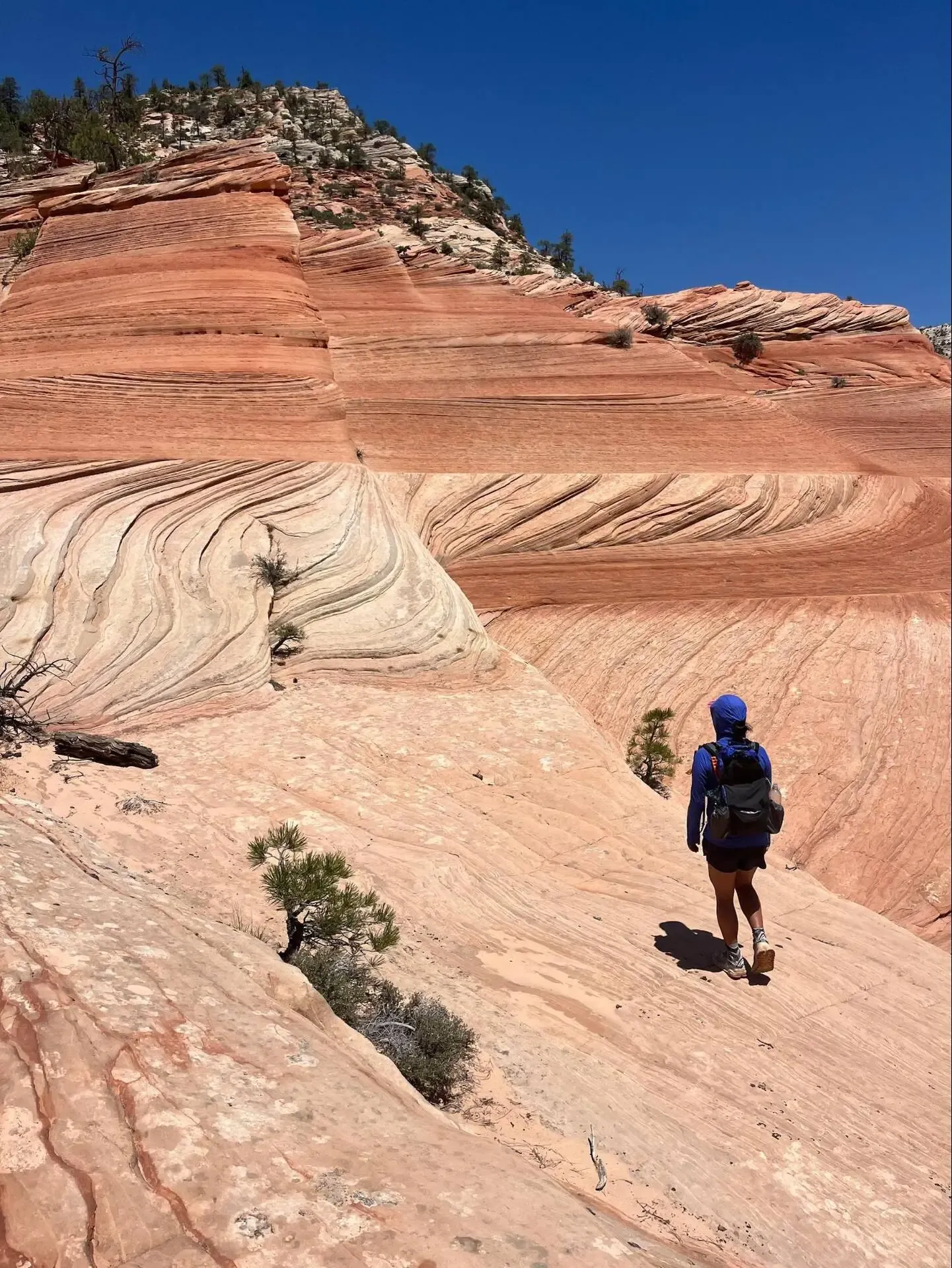 Making A 40L Ultralight Pack